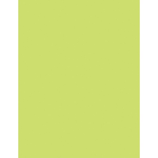 Multi-Purpose Paper, Lime, 8.5in x 11in, PK500